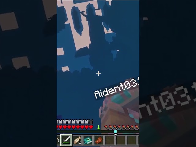 Minecraft - The Bloop From Below #minecraft