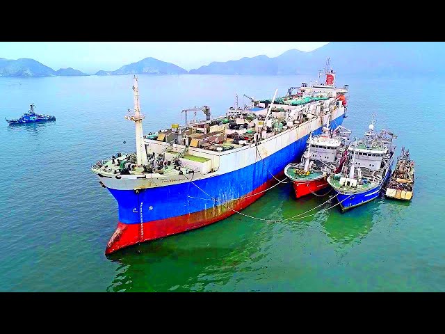 A Look Inside The World's LARGEST Floating Fish Processing Vessel