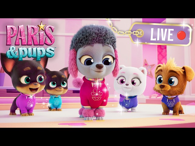 🔴 LIVE! 24 HOURS Paris & Pups Full Episode Livestream! 🐶 Puppy Dog Party Fun 🐶 @ParisAndPups