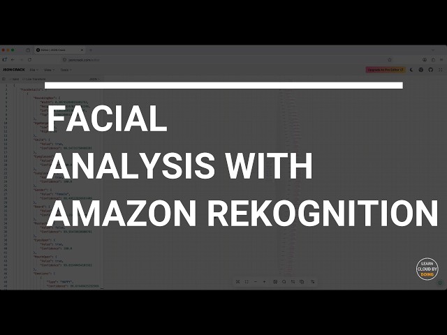 No-Code/Low-Code AI Facial Analysis