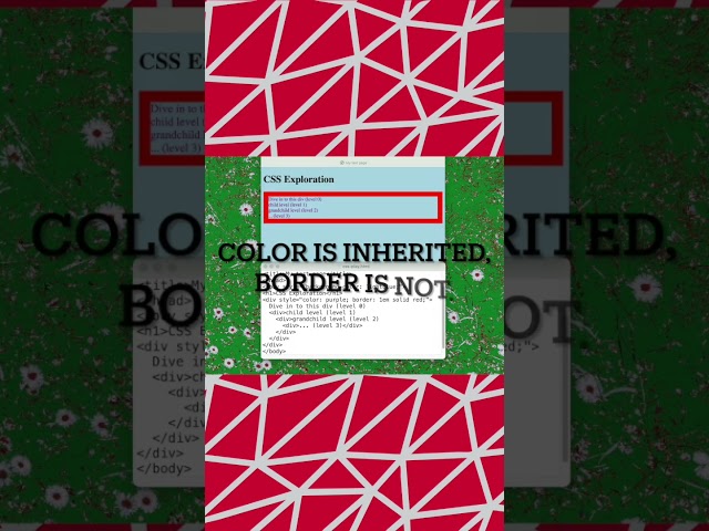 CSS Intro #1