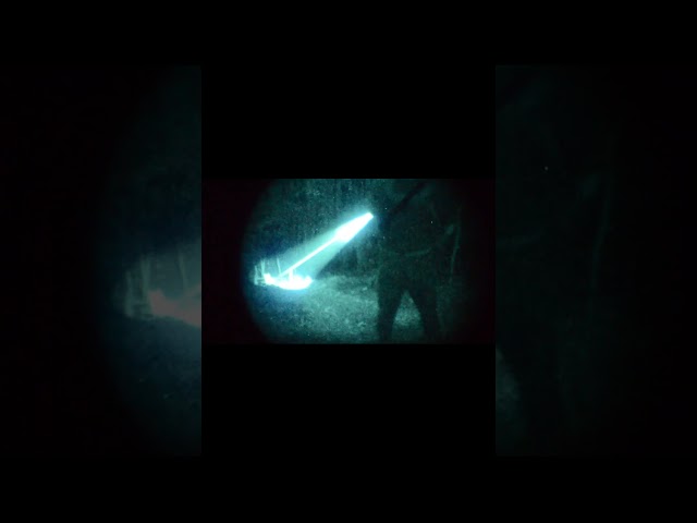 PVS-31 Goggles Test - Better Than Expected #nightvision #gear #review