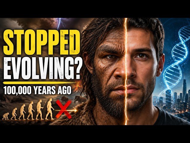 Why Humans Stopped Evolving 100,000 Years Ago | History for Sleep