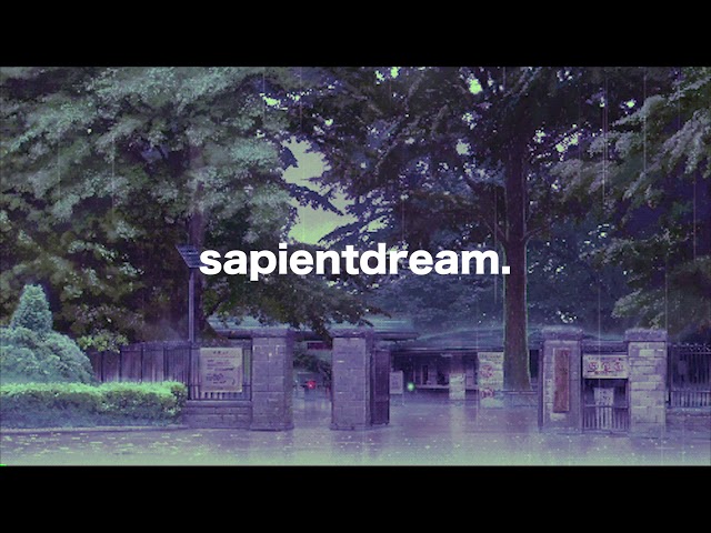 sapientdream - sky light