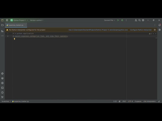 Building My First Python Portfolio Project | Expense Tracker Part 1 (No Talking)