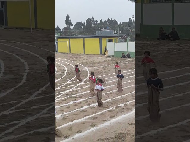 Sport 2026 #shorts