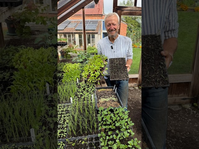 One Compost for Sowing Seeds and Potting On