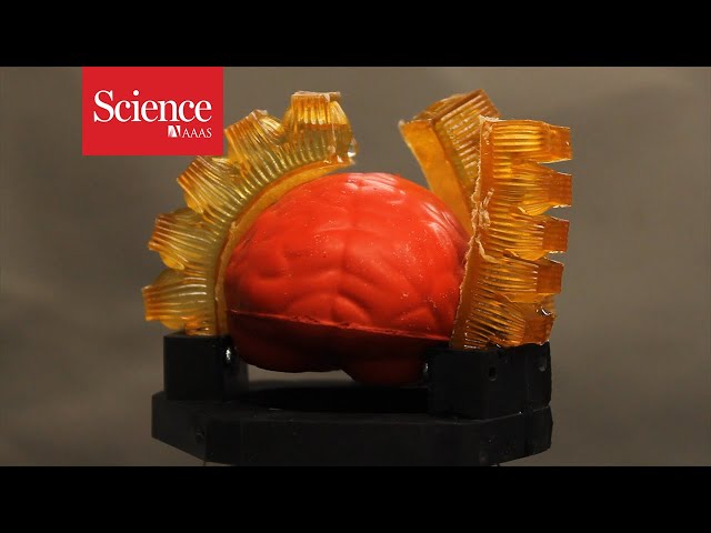 These sweaty robots cool themselves faster than humans