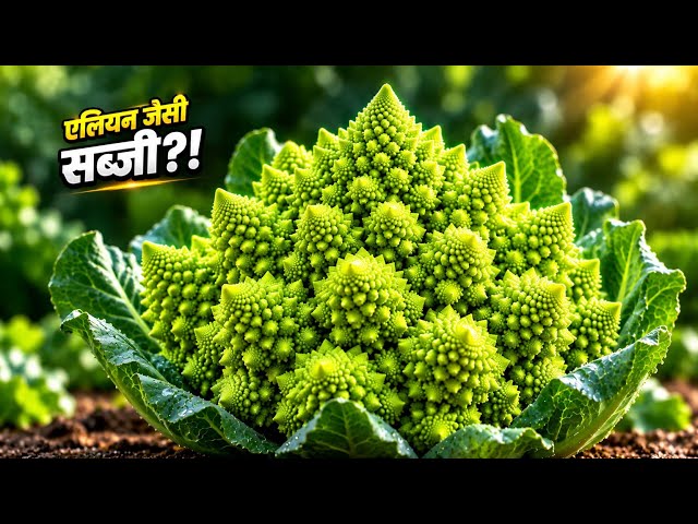 🏆 एलियन जैसी दिखने वाली ये सब्जी आखिर है क्या?! 😱🥦