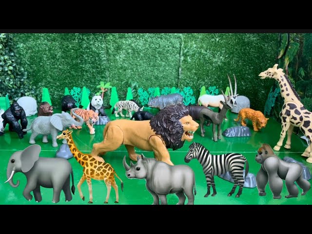 Animals in the Beautiful Jungle | Lions, Rhinos, Elephants, and Pandas | Toy Animals for Kids | 
