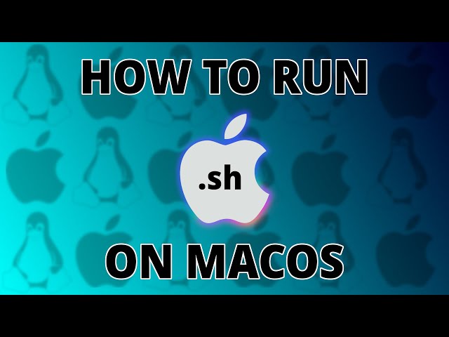 Running Bash Scripts in MacOS and Linux | Terminal Tutorial