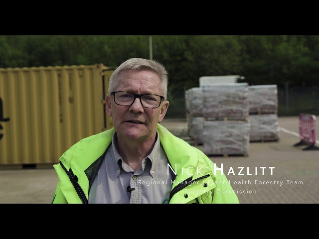 At the border: monitoring timber imports to prevent the introduction of tree pests and diseases