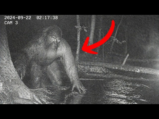Police Bodycam Caught the Moment Everything Went Wrong in the Forest