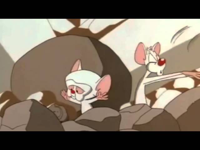 Pinky y Cerebro