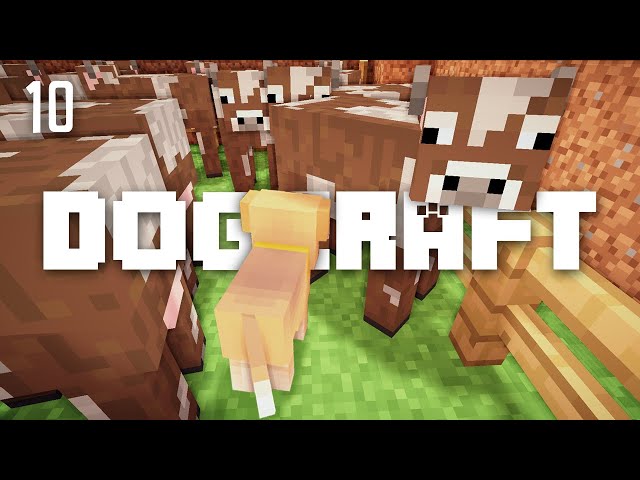 The Cowardly Tails | Dogcraft (Ep.10)