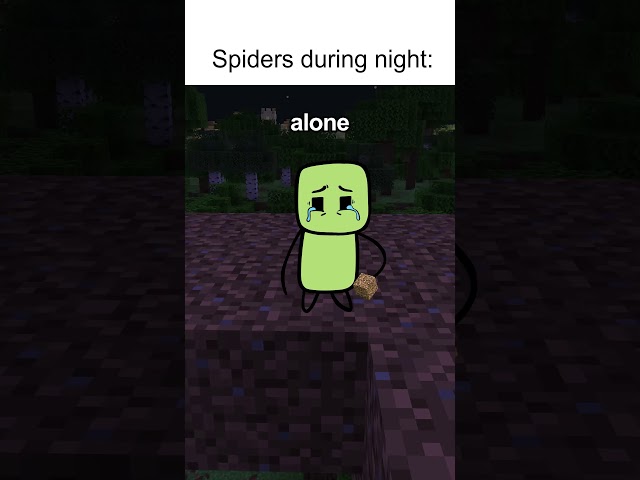 Spiders at Night vs Day! 😂😂