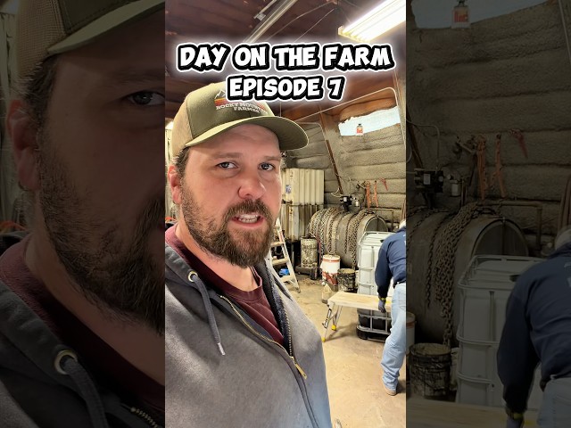 Day on the farm episode 7. #agriculture #farming #farm