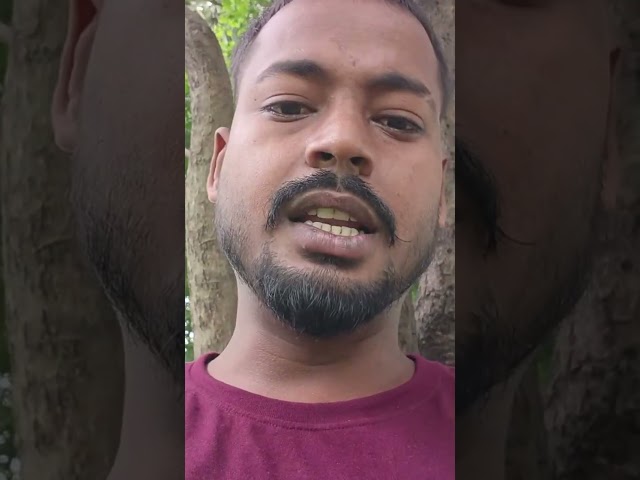 Live highlight