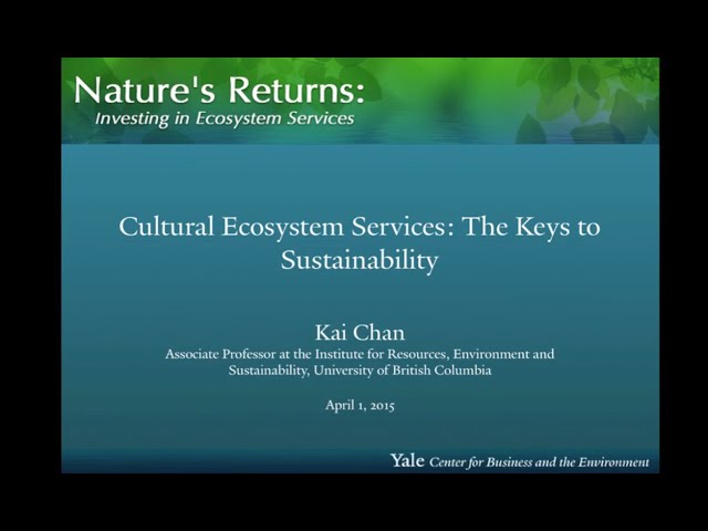 Cultural Ecosystem Services: the Keys to Sustainability
