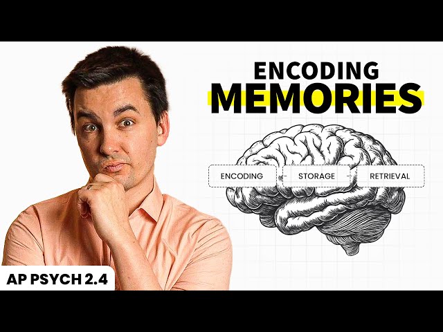 Encoding Memories (AP Psychology Review Unit 2 Topic 4)
