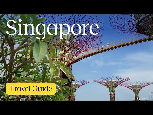 Singapore Vacation Travel Guide | Expedia