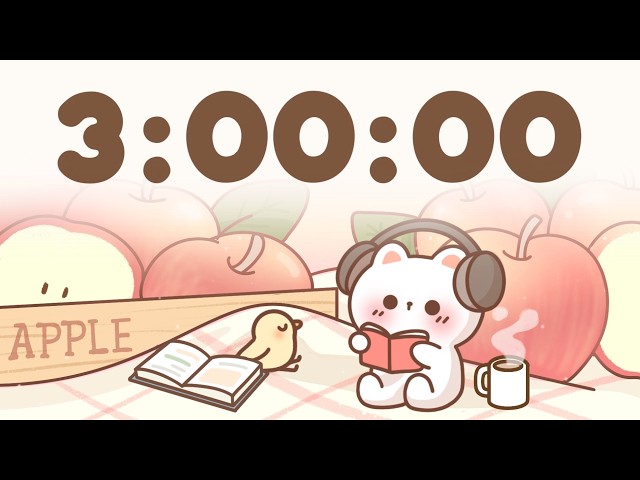 3 Hour Timer 🐱 3 Hr Study Timer for Classroom Focus