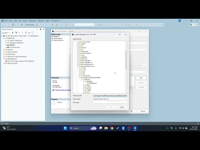 How to Backup a Database in SQL Server Management Studio (SSMS) 2025 Guide