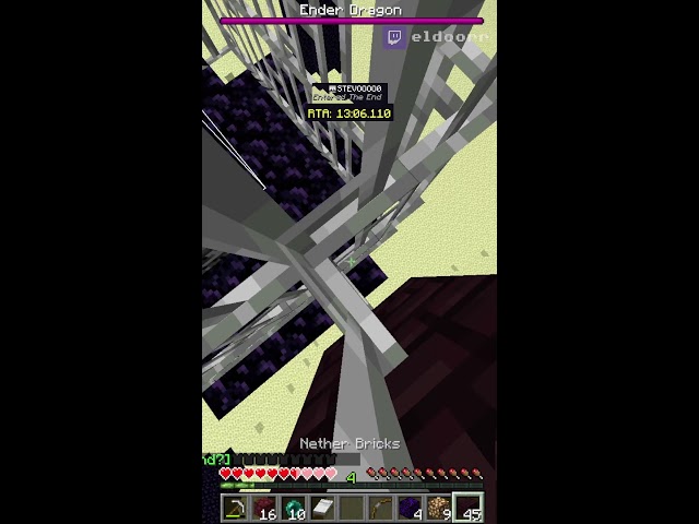 Minecraft Speedrunning | Frog