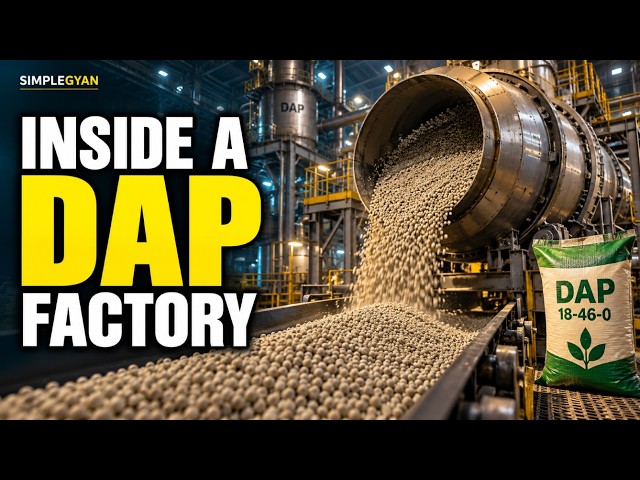 Inside a DAP Fertilizer Factory: How Phosphate Rock Becomes Fertilizer