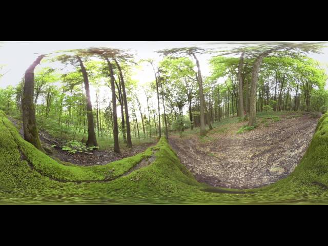 Steinerne Rinne bei Erasbach - 360° VR by uSphere