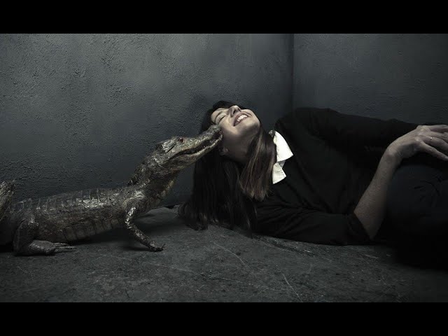 Interview With Pixies Bassist Paz Lenchantin - Bass Musician Magazine