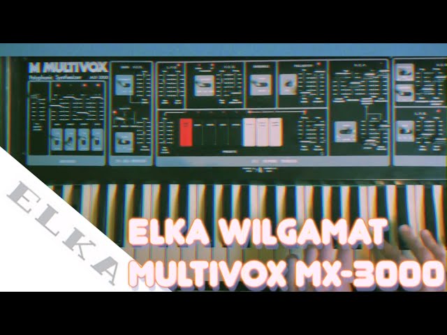 Elka Wilgamat / Multivox MX-3000