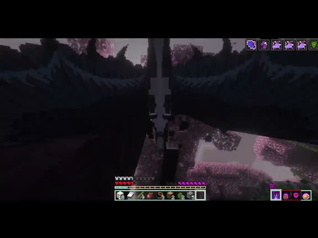 Playing as a dragon comfort edition! (Minecraft java)