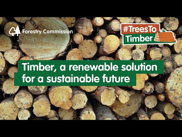 Trees to Timber: commercial forestry in the UK