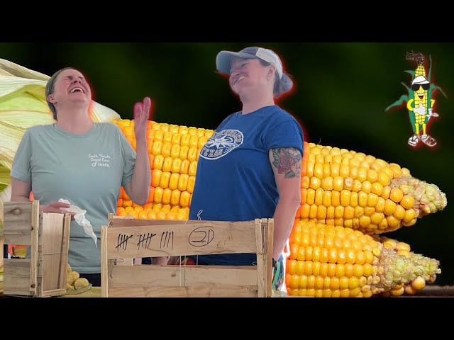 The Sweet Corn Fiesta | Corn Eating Contest 2022