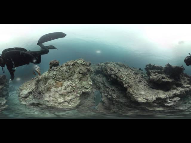 Laysan Island