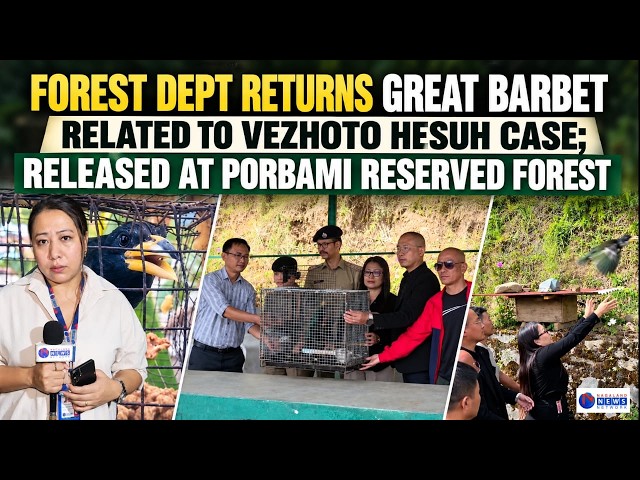 FOREST DEPT RETURNS GREAT BARBET RELATED TO VEZHOTO HESUH CASE; RELEASED AT PORBAMI RESERVED FOREST