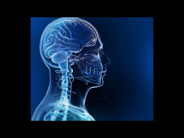 Brain Tumour