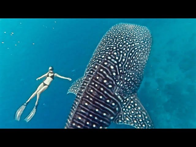 MAN AND BEAST - Part 56