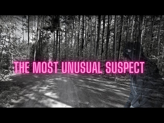 The Most Unusual Suspect - Part 1