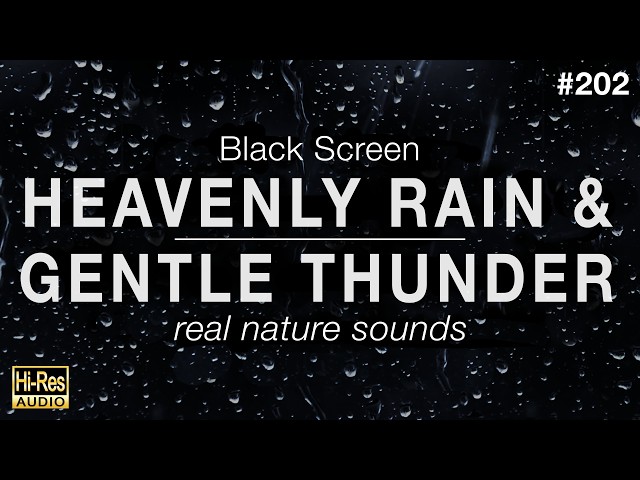 HEAVENLY RAIN and GENTLE THUNDER Sounds for Sleeping BLACK SCREEN
