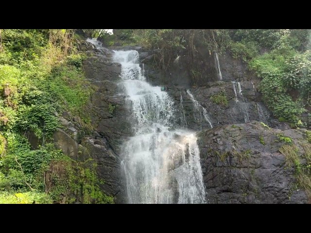 Water fall Kerala # nature # river