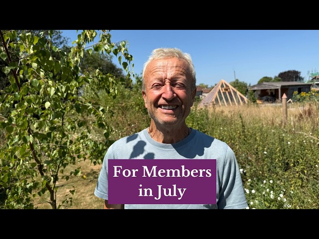A Very Dry July at Homeacres | Members' Garden Tour