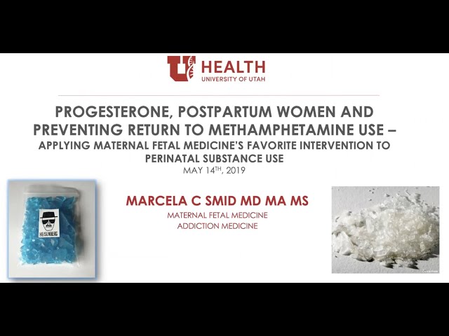 Progesterone, Postpartum Women, and Preventing Methamphetamine Use [CC]