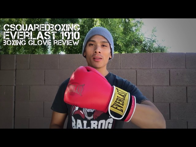 Everlast 1910 Boxing Gloves REVIEW