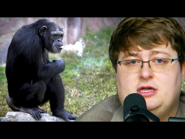 The Monkey Dr*g Trials