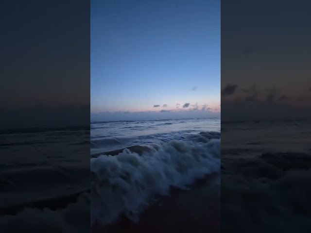 ২০ সেকেন্ডের শান্তি: সাগরের বুকে হারিয়ে যাওয়া 🌊🌴