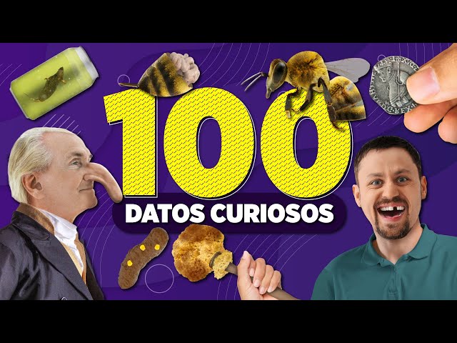 100 INCREDIBLE FUN FACTS (1 Hour of XpressTV)