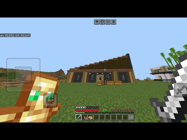 playing on my friend's server ( private smp )