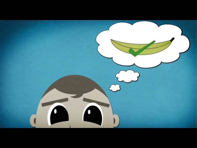 The Importance of Visual Communication